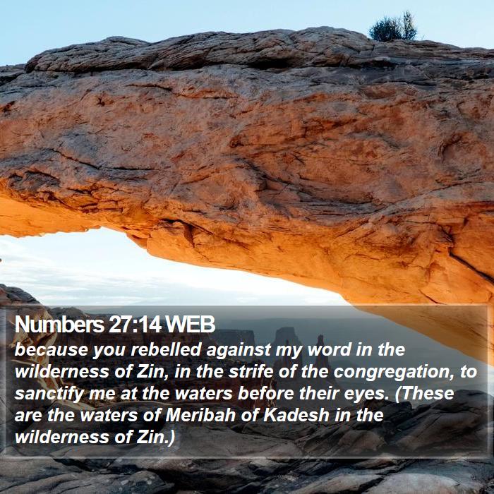 Numbers 27:14 WEB Bible Study