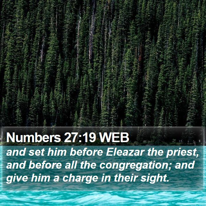 Numbers 27:19 WEB Bible Study