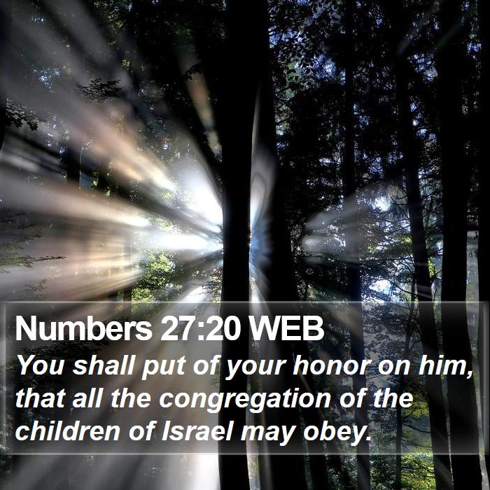 Numbers 27:20 WEB Bible Study