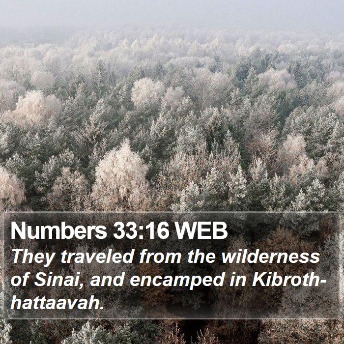 Numbers 33:16 WEB Bible Study