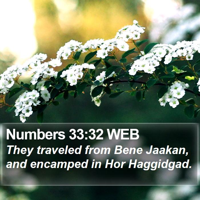 Numbers 33:32 WEB Bible Study