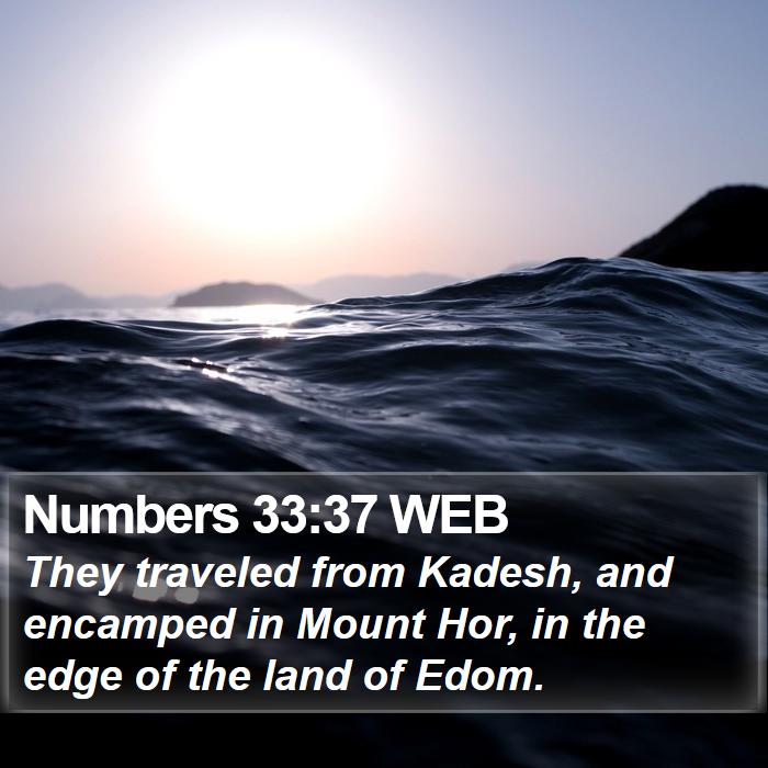 Numbers 33:37 WEB Bible Study