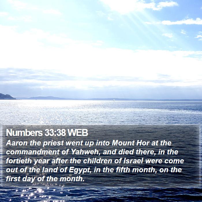 Numbers 33:38 WEB Bible Study