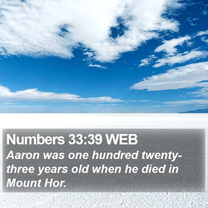 Numbers 33:39 WEB Bible Study