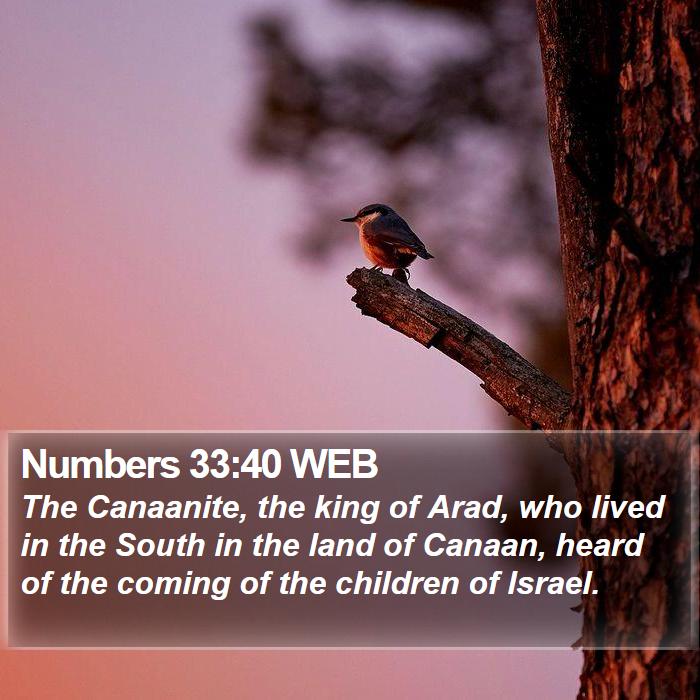 Numbers 33:40 WEB Bible Study