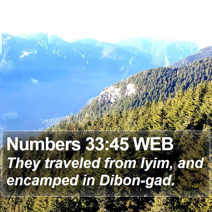 Numbers 33:45 WEB Bible Study