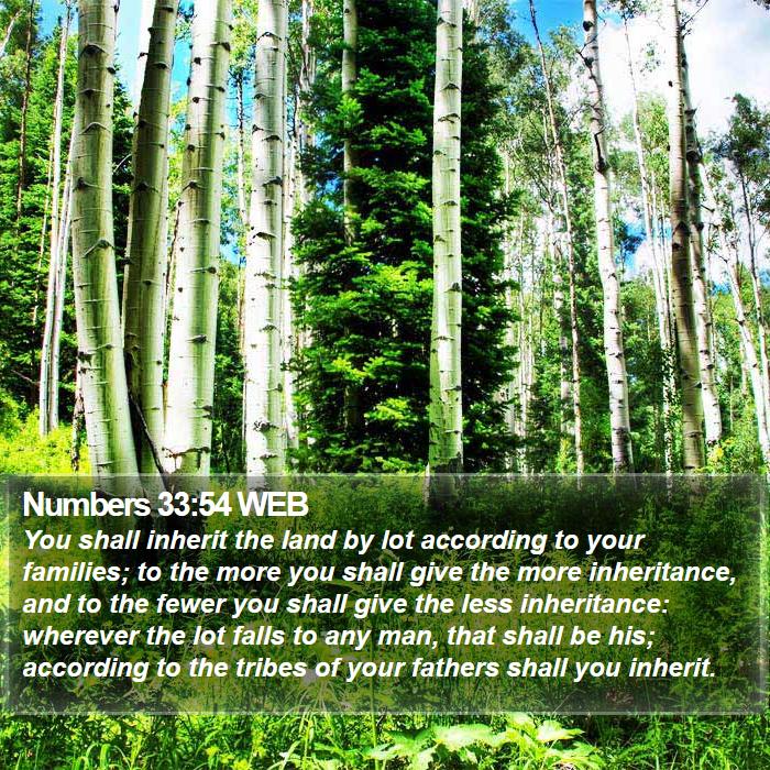 Numbers 33:54 WEB Bible Study