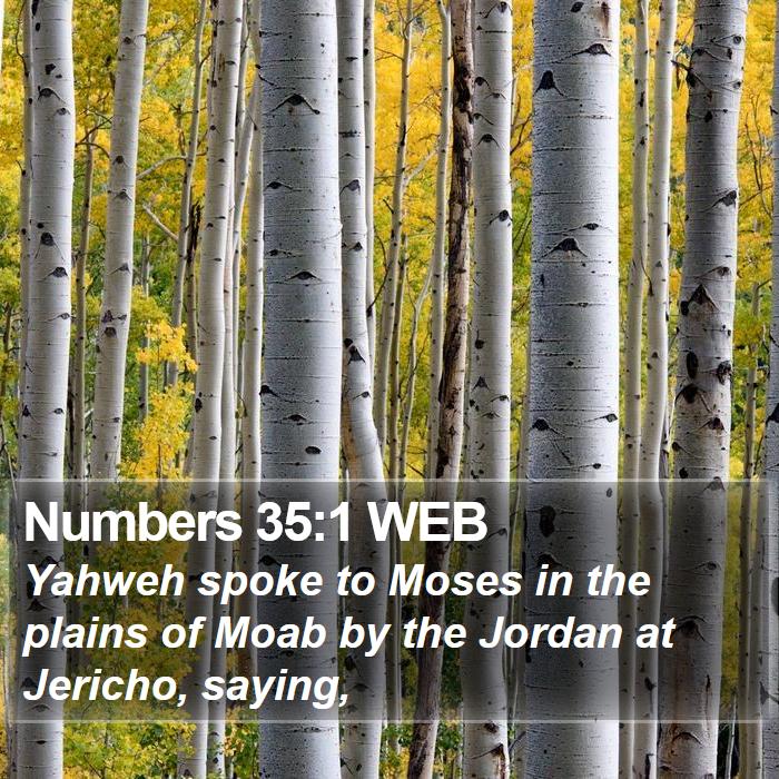 Numbers 35:1 WEB Bible Study