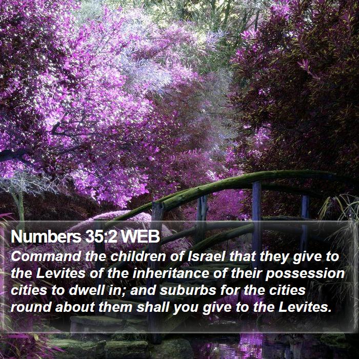 Numbers 35:2 WEB Bible Study