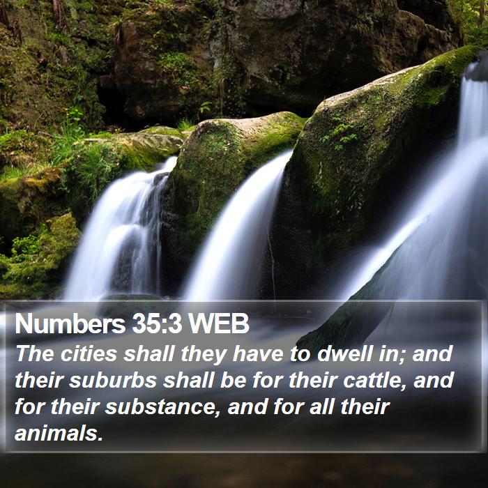 Numbers 35:3 WEB Bible Study