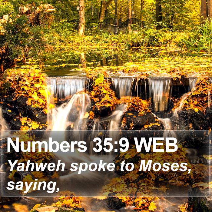 Numbers 35:9 WEB Bible Study