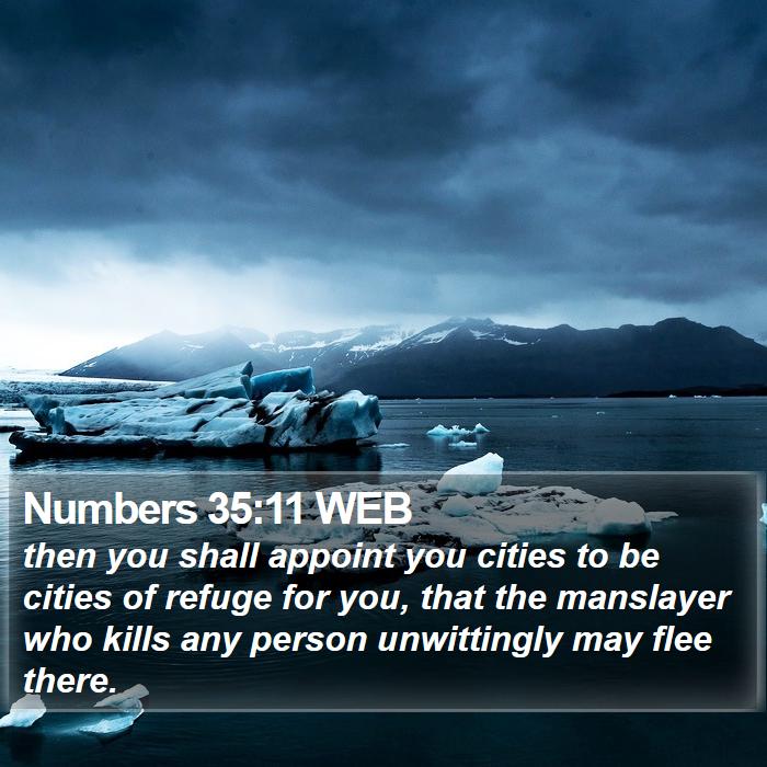 Numbers 35:11 WEB Bible Study