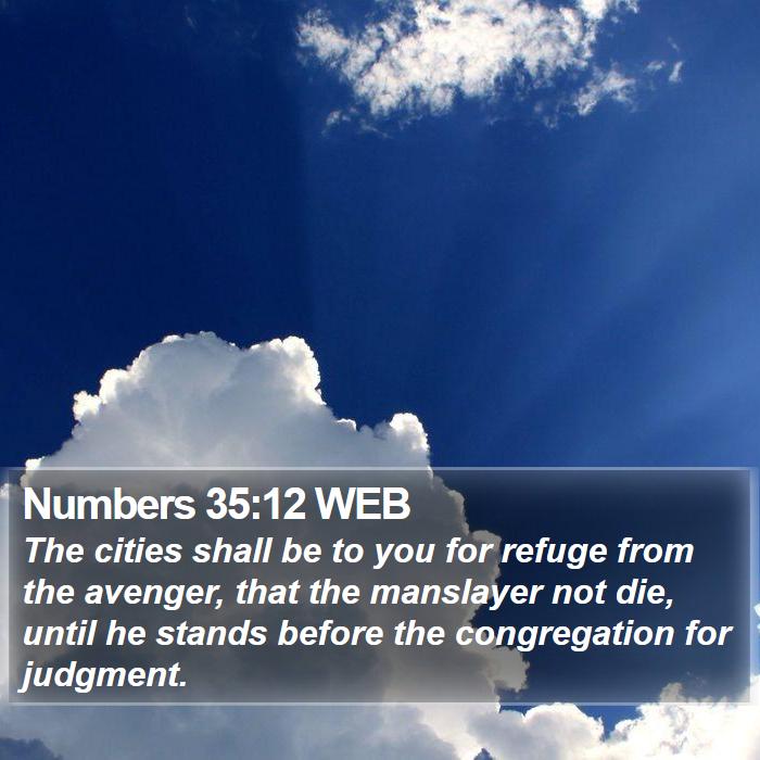 Numbers 35:12 WEB Bible Study