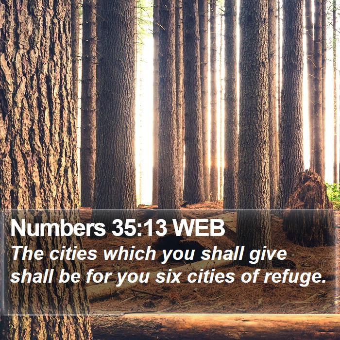 Numbers 35:13 WEB Bible Study