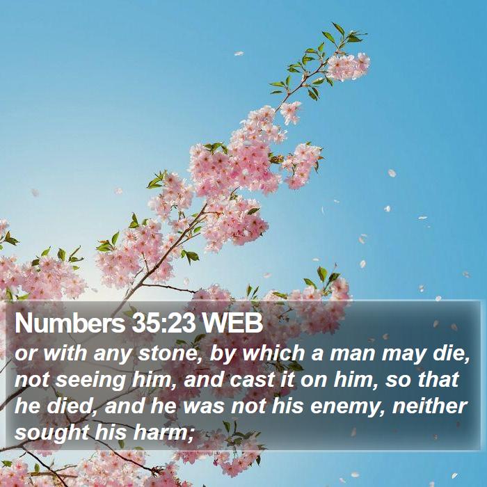 Numbers 35:23 WEB Bible Study