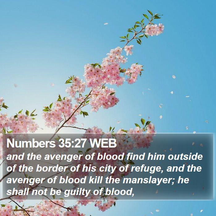 Numbers 35:27 WEB Bible Study