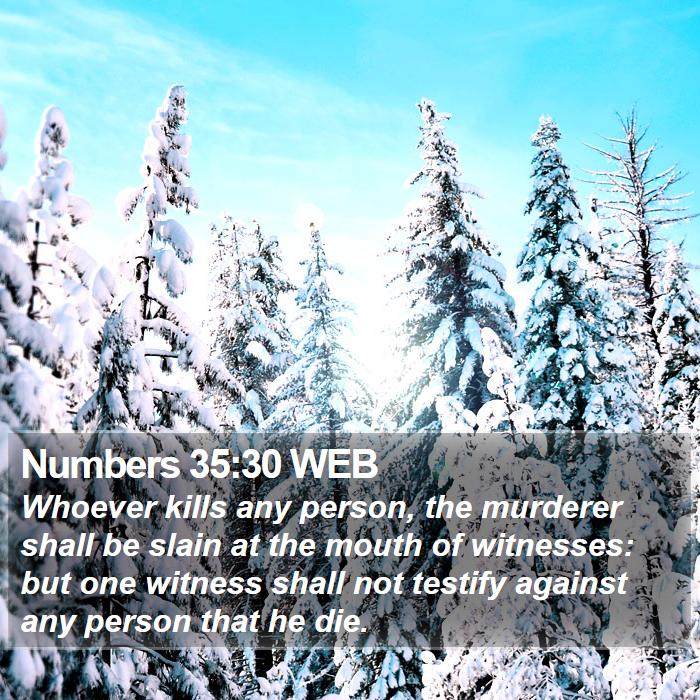 Numbers 35:30 WEB Bible Study