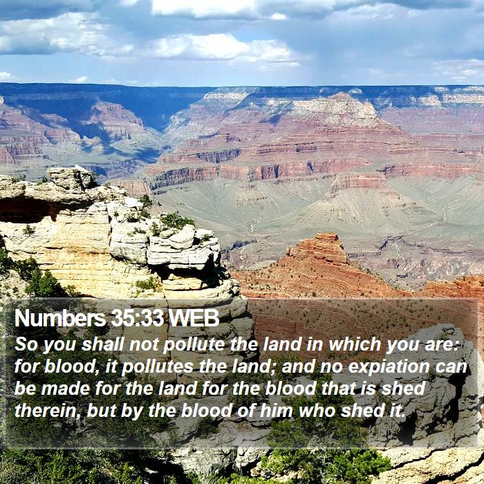 Numbers 35:33 WEB Bible Study