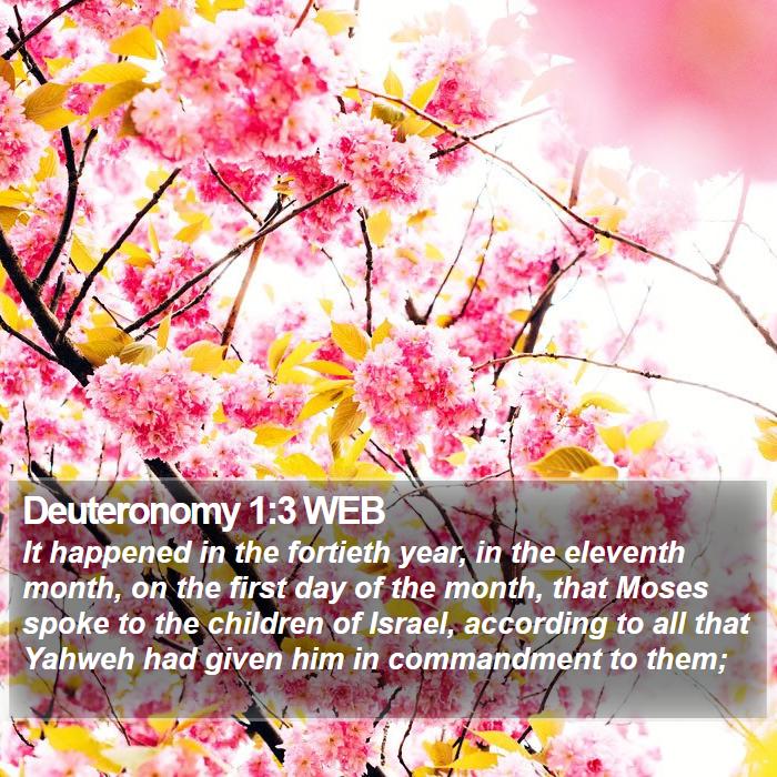 Deuteronomy 1:3 WEB Bible Study