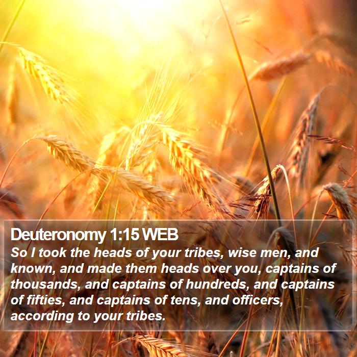 Deuteronomy 1:15 WEB Bible Study