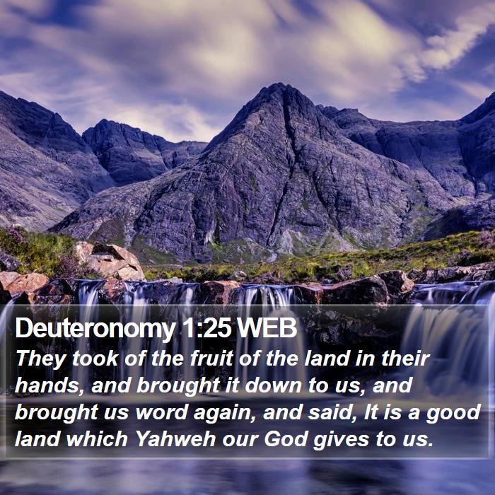 Deuteronomy 1:25 WEB Bible Study