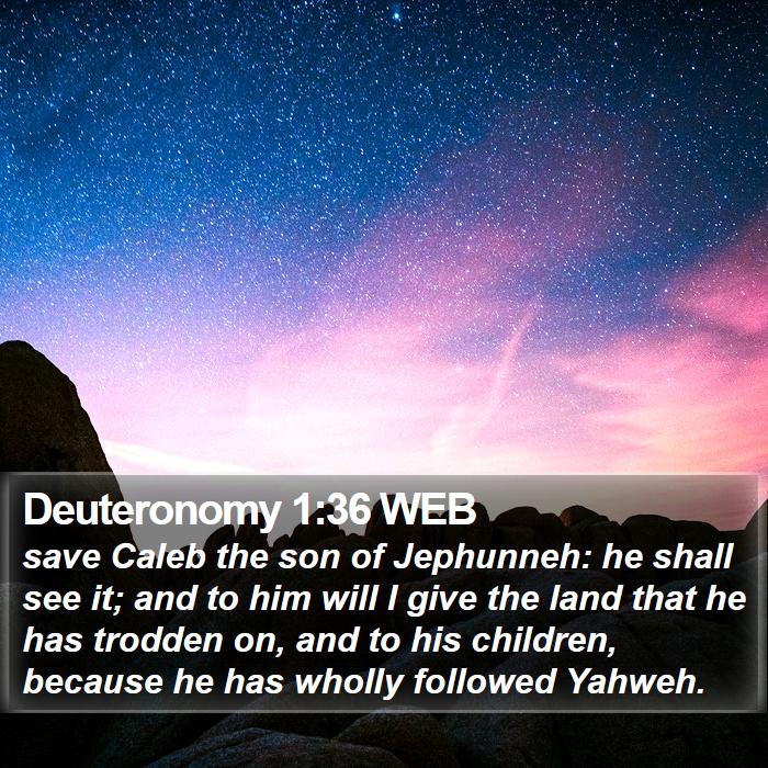 Deuteronomy 1:36 WEB Bible Study