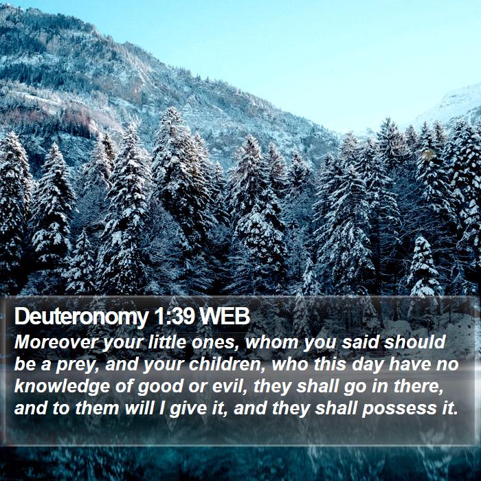 Deuteronomy 1:39 WEB Bible Study