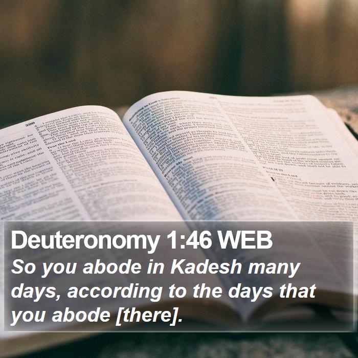 Deuteronomy 1:46 WEB Bible Study