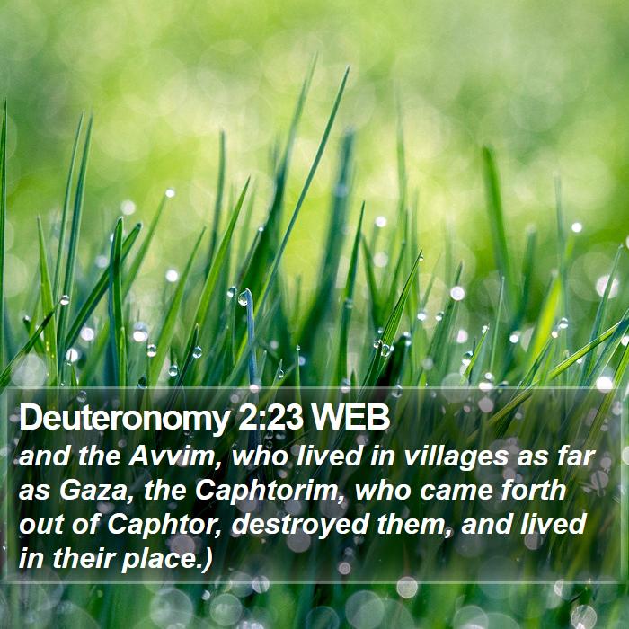 Deuteronomy 2:23 WEB Bible Study