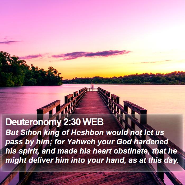 Deuteronomy 2:30 WEB Bible Study