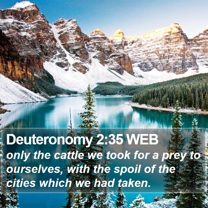 Deuteronomy 2:35 WEB Bible Study