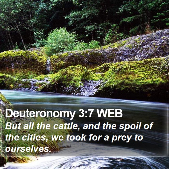 Deuteronomy 3:7 WEB Bible Study