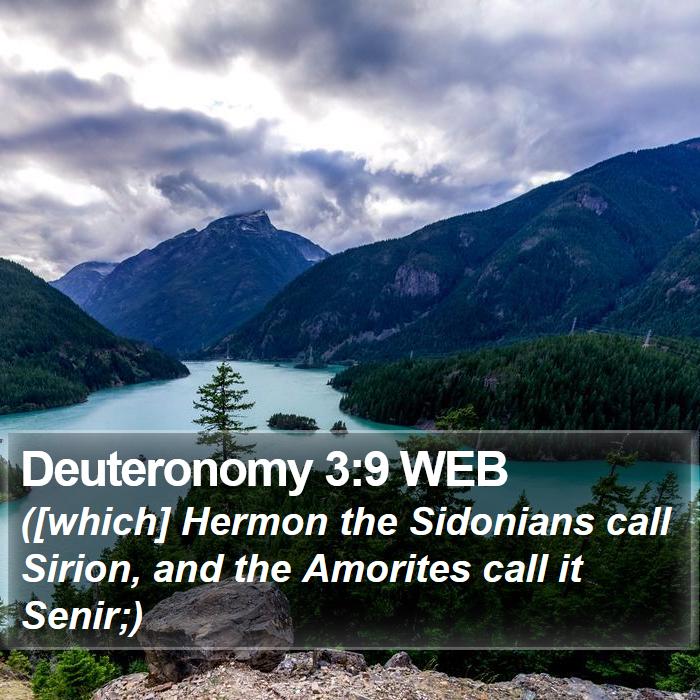 Deuteronomy 3:9 WEB Bible Study