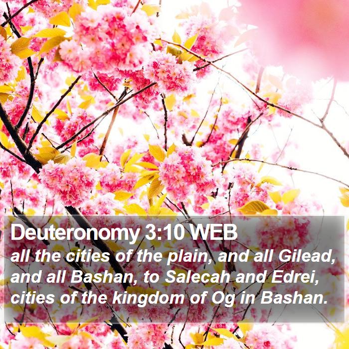 Deuteronomy 3:10 WEB Bible Study