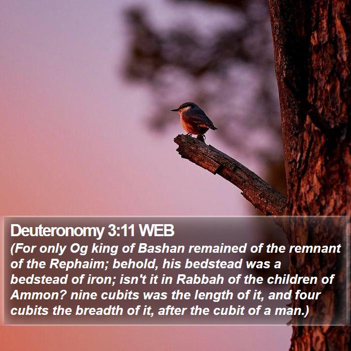 Deuteronomy 3:11 WEB Bible Study