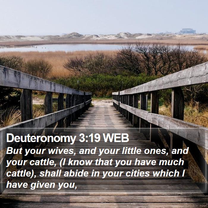 Deuteronomy 3:19 WEB Bible Study