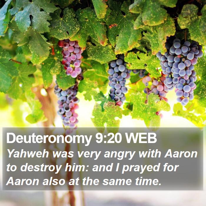 Deuteronomy 9:20 WEB Bible Study