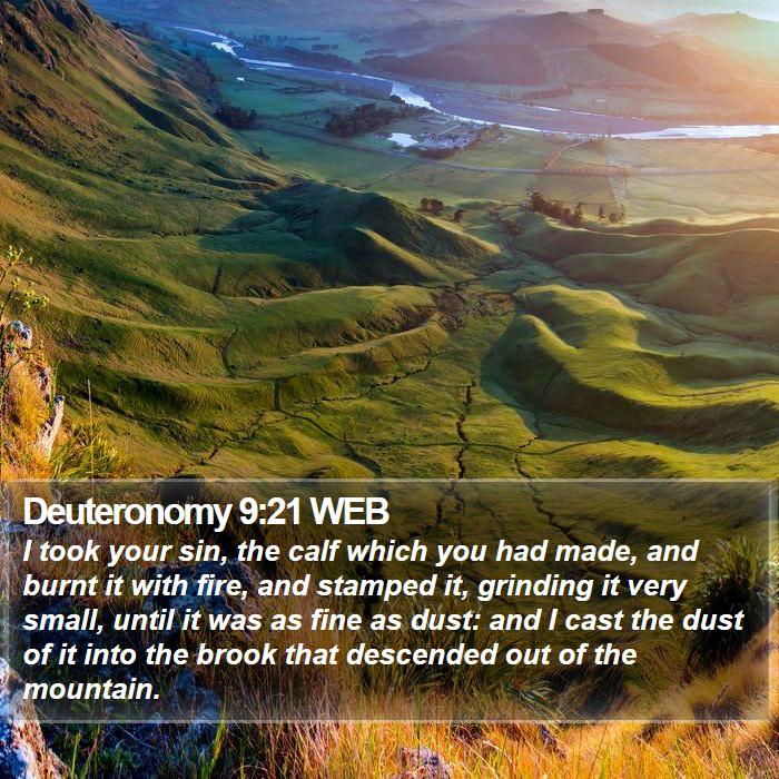 Deuteronomy 9:21 WEB Bible Study