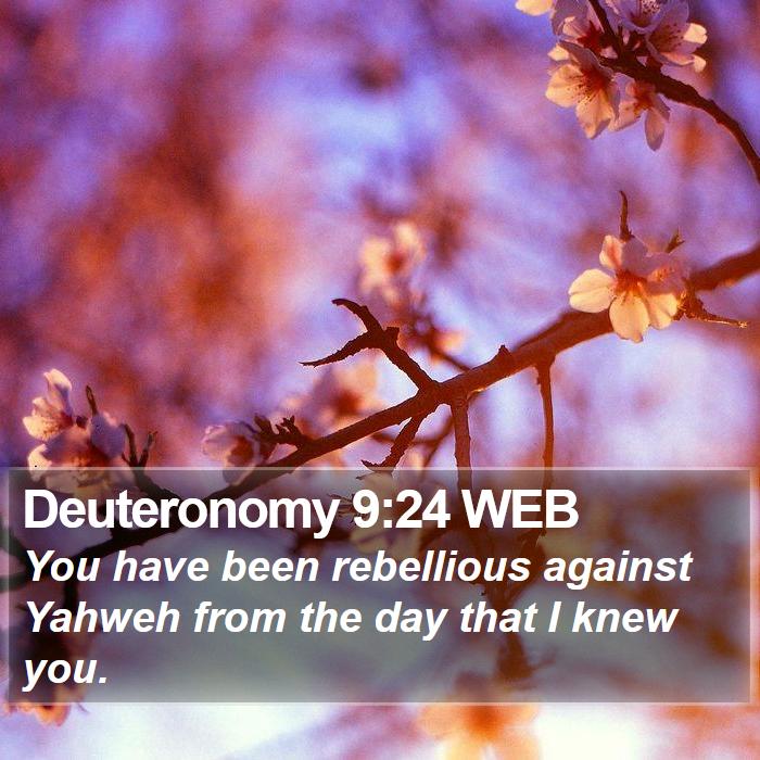 Deuteronomy 9:24 WEB Bible Study