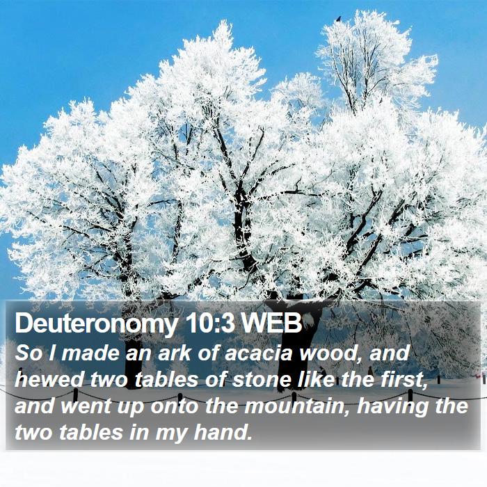 Deuteronomy 10:3 WEB Bible Study