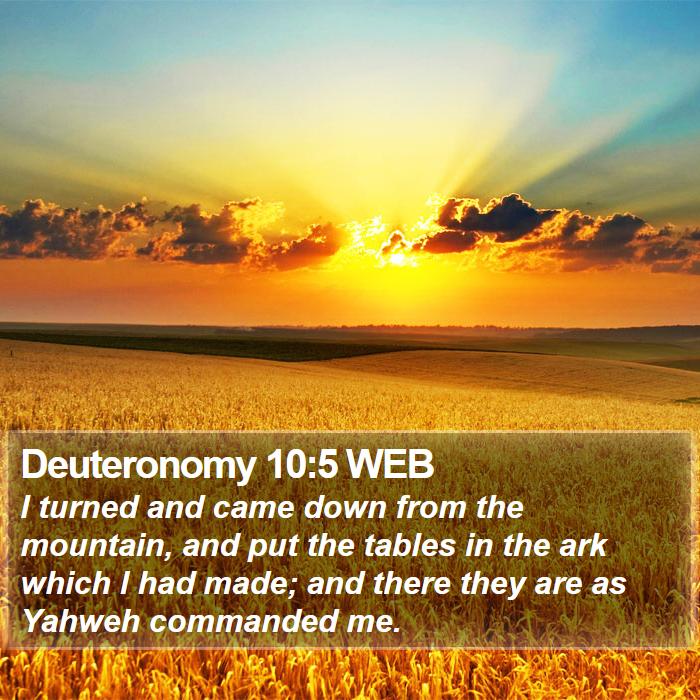 Deuteronomy 10:5 WEB Bible Study