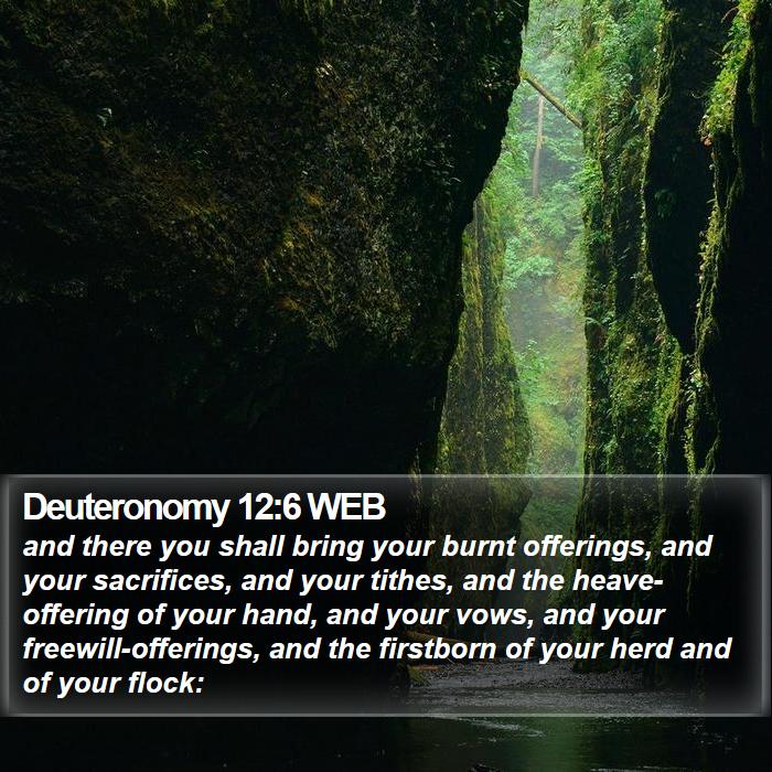 Deuteronomy 12:6 WEB Bible Study