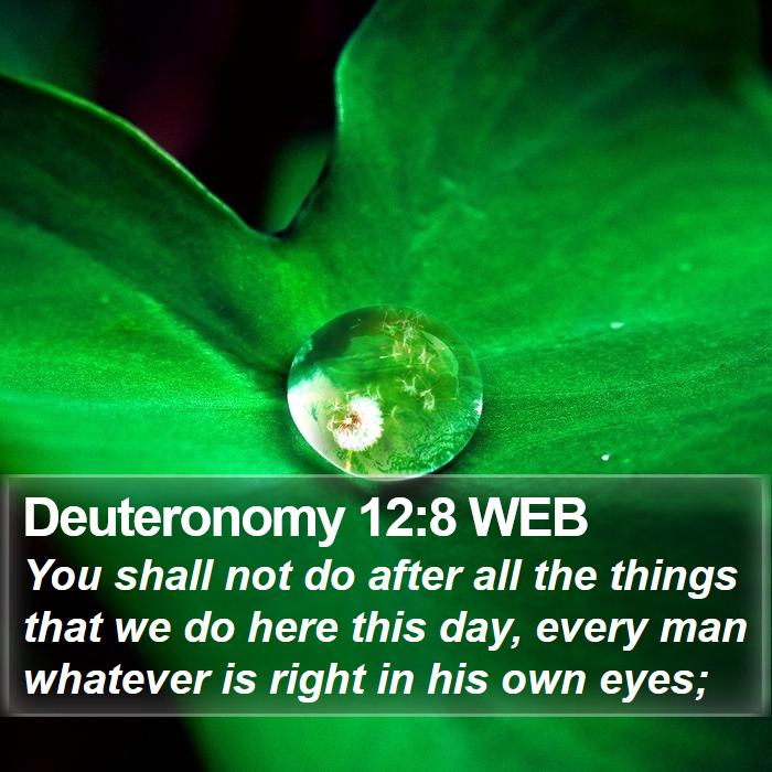 Deuteronomy 12:8 WEB Bible Study