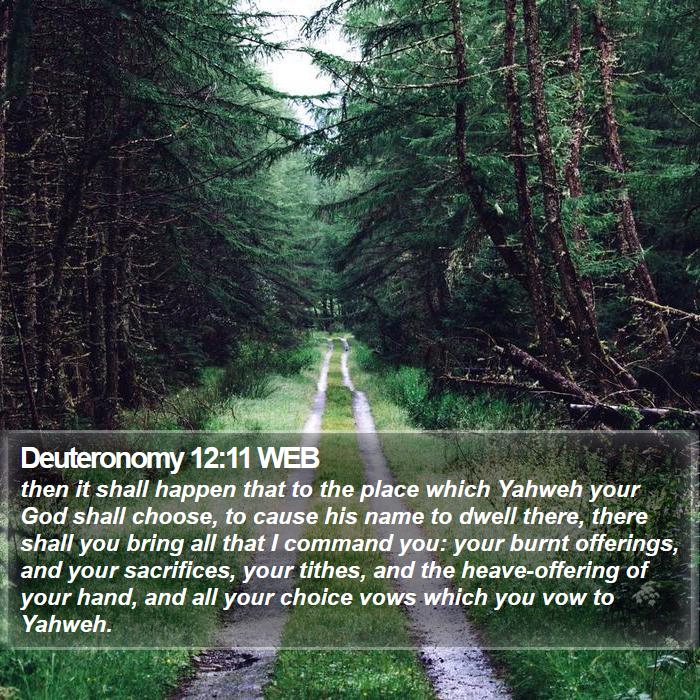 Deuteronomy 12:11 WEB Bible Study