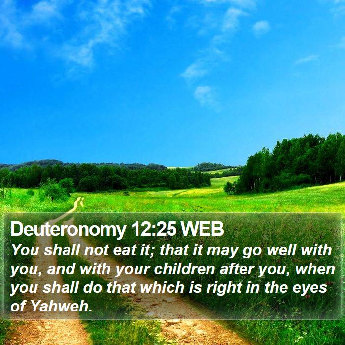 Deuteronomy 12:25 WEB Bible Study