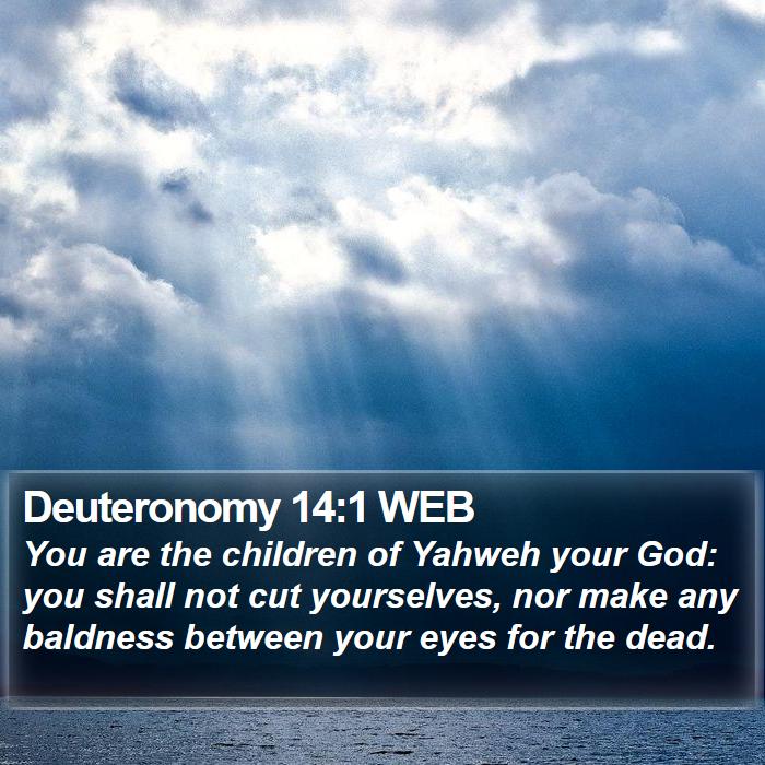 Deuteronomy 14:1 WEB Bible Study