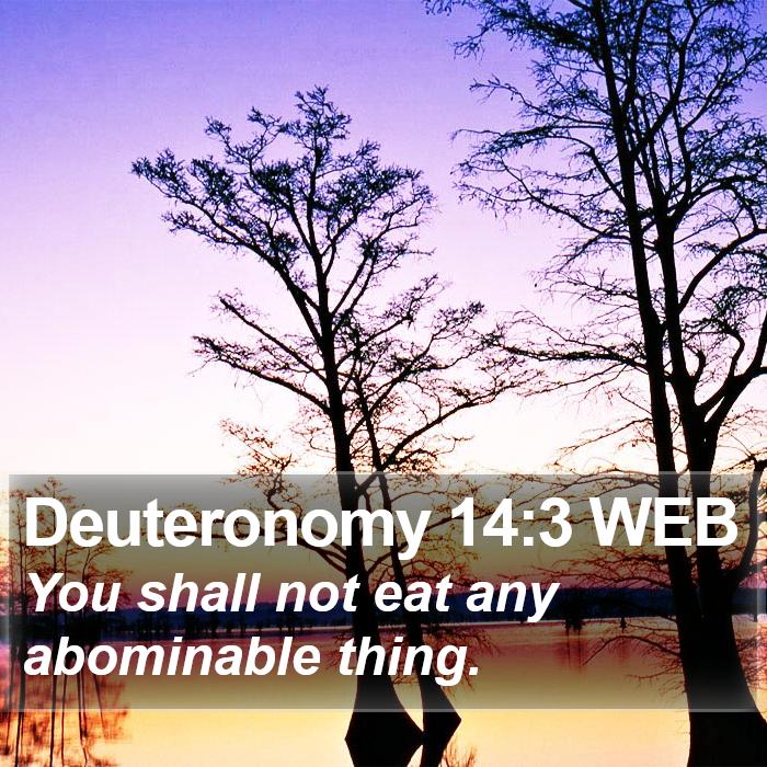 Deuteronomy 14:3 WEB Bible Study