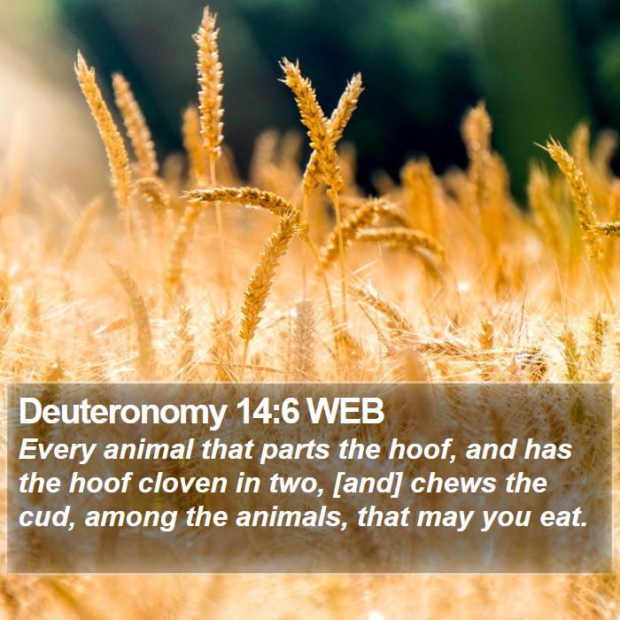 Deuteronomy 14:6 WEB Bible Study