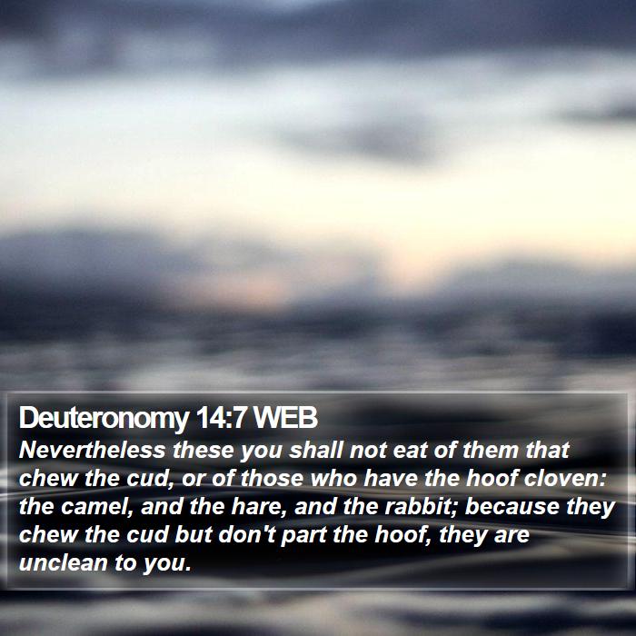 Deuteronomy 14:7 WEB Bible Study