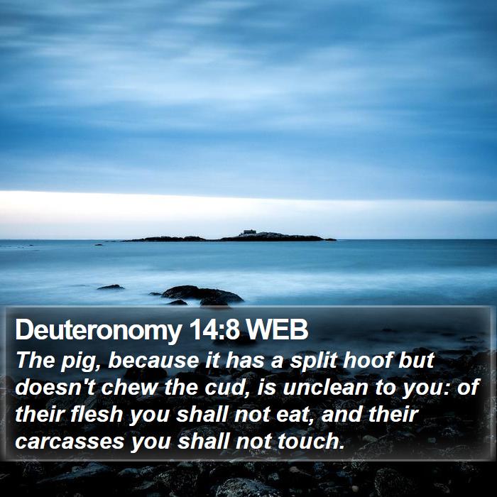 Deuteronomy 14:8 WEB Bible Study